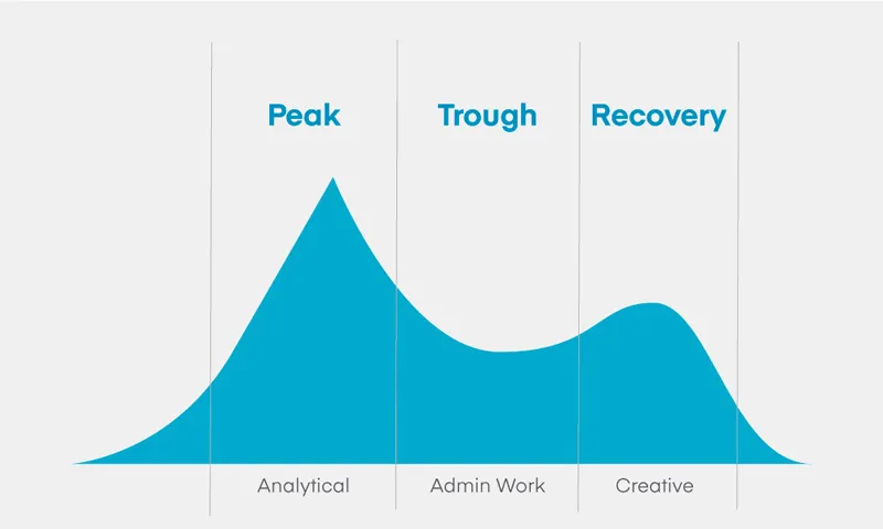 The Science of Sleep Cycles and Circadian Rhythms