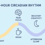 Understanding Wake Windows Tips for Better Sleep and Productivity